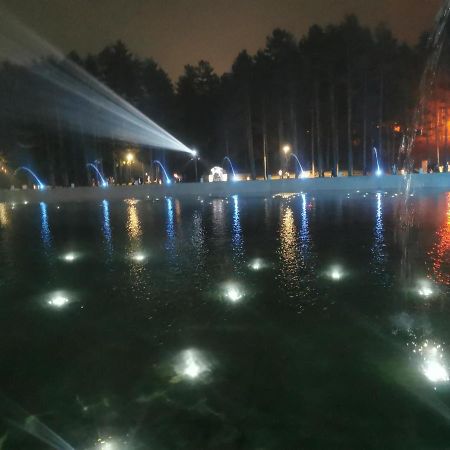 Apartment 9 Gorska Vila 兹拉蒂博尔 外观 照片