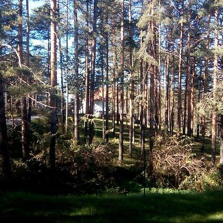 Apartment 9 Gorska Vila 兹拉蒂博尔 外观 照片