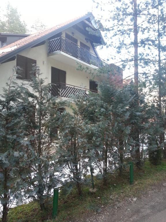 Apartment 9 Gorska Vila 兹拉蒂博尔 外观 照片